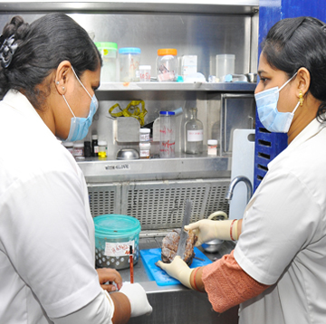 Medical Lab Technology